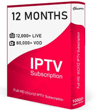 iptv 6 months