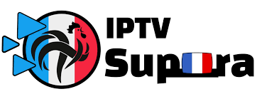  Les Meilleurs Fournisseurs d’Abonnement IPTV en France 